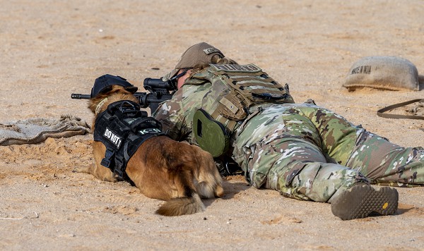 U.S. Air Force Staff Sgt. Jordan Courtney, 378th Expeditionary Security Forces Squadron K9 handler, trains Mirco, her military working dog, at a firing range on Prince Sultan Air Base, Kingdom of Saudi Arabia, Jan. 21, 2023. K9 Defenders and their handlers are required to train together around live fire to ensure safe interoperability in stressful real-world situations. (photo by Senior Airman Stephani Barge)