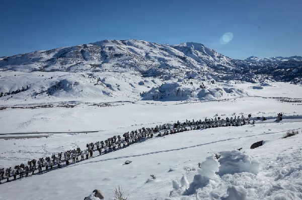 26 01 21 combat logistic battalion support our troops inc