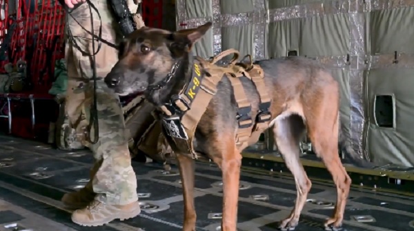 26 09 02 military working dogs support our troops org