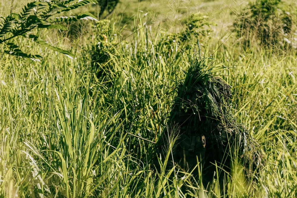 25 11 19 surveillance reconnaissance support our troops inc.avif