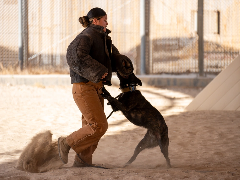 25 11 5 a386th dog defense support our troops inc.avif