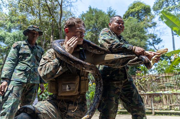 A Royal Thai Armed Forces service member, right, teaches snake manipulation techniques to U.S. Marine Corps Cpl. Jayden Reed, a fires observer with the 1st Light Armored Reconnaissance Battalion, 1st Marine Division, attached to Marine Rotational Force-Southeast Asia, during a jungle survival class at Recon Camp, Sattahip, Thailand, Feb. 26, 2025, as part of Exercise Cobra Gold 2025. Cobra Gold is the largest joint and combined exercise in mainland Asia, held annually in Thailand, showcasing the U.S. commitment to the region by building interoperability, multilateral cooperative arrangements, and advancing common interests through our commitment to allies and partners in ensuring a free and open Indo-Pacific. MRF-SEA is a rotational unit derived from elements of I MEF executing a U.S. Marine Corps Forces, Pacific operational model that involves training events and exchanges with partner military subject matter experts, promotes security goals with allied and partner nations, and ensures a persistent I MEF stand-in presence west of the international date line. (U.S. Marine Corps photo by Cpl. Migel A. Reynosa)
