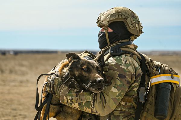 Senior Airman Dariel Gonzalez Ramos, 90th Security Forces Squadron military working dog handler, carries MWD Rex after being fired at by opposing forces during detection training with environmental stimuli at F.E. Warren Air Force Base, Wyo., March 10, 2025. Detection training is conducted to test and enhance MWD’s performance capabilities in simulated hostile environments. (U.S. Air Force photo by Airman 1st Class Mattison Cole) 