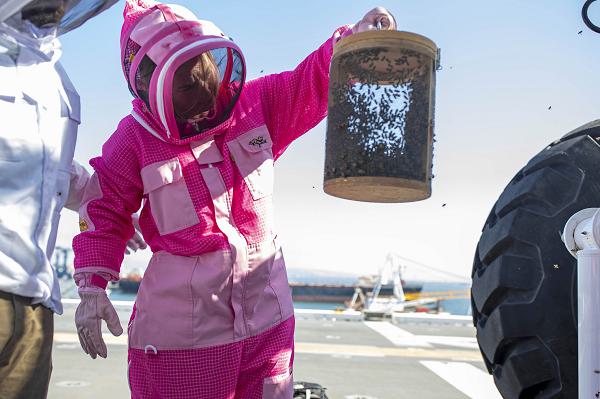 06 Navy Keylee Newcomb beehive moving bees USS Tripoli ventilating bees reorienting beehives Support Our Troops