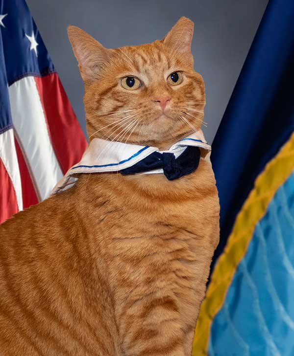 02 Cracker Jack the Sailor Cat International Cat Day pest control weather prediction plague Black Death Support Our Troops