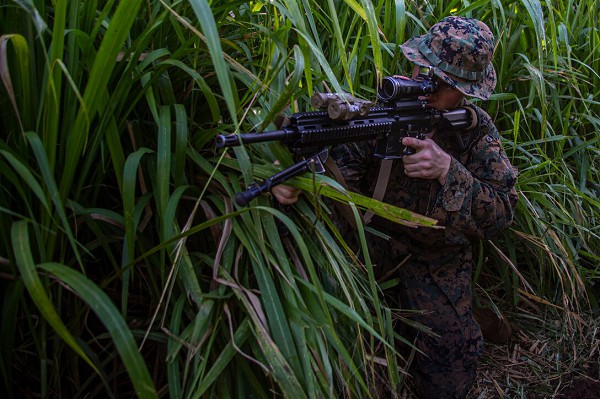 Marine Corps Base Hawaii, HI. (October 1, 2022): In this photo by Lance Corporal Jacob Wilson, Marine Lance Corporal Brendan Kelly, a rifleman with Alpha Company, 1st Battalion, 3rd Marine Regiment sights in his weapon while on patrol during a company-wide jungle warfare competition in the mountains of Oahu. America has over a century experience fighting in jungles from the South Pacific to Viet Nam and has learned many lessons on adapting to its harsh conditions.